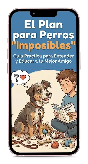 Bonus 2 — Perros Imposibles